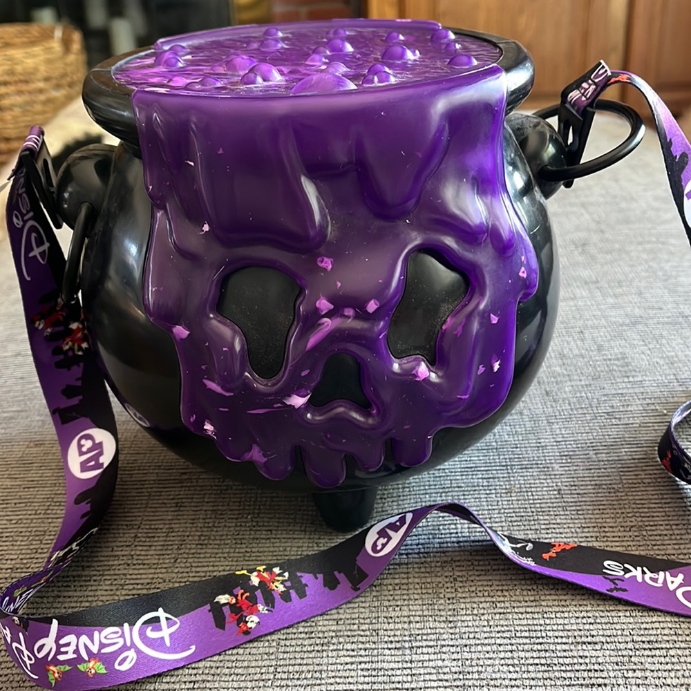 Disneyland Popcorn bucket